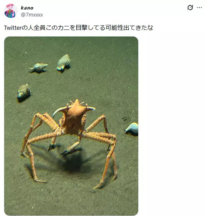 圖片11 圖片11