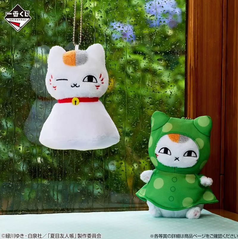 圖片5