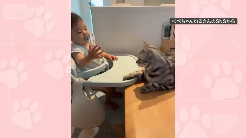 圖片3 圖片3