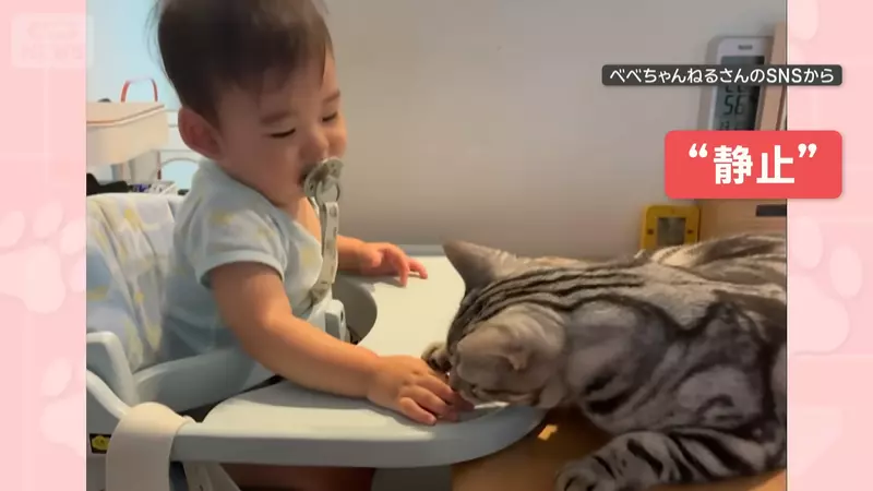 圖片5 圖片5