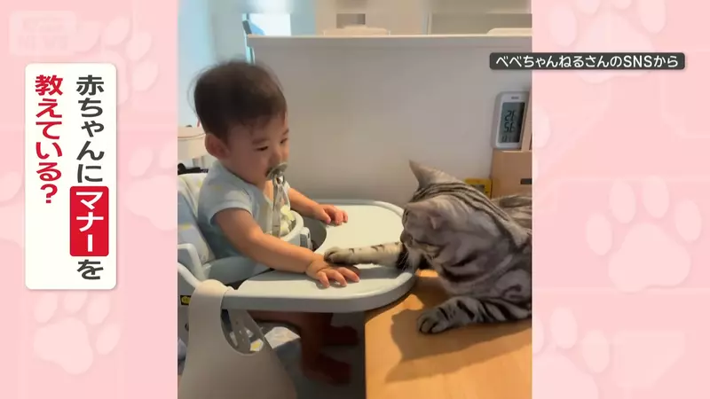 圖片6 圖片6