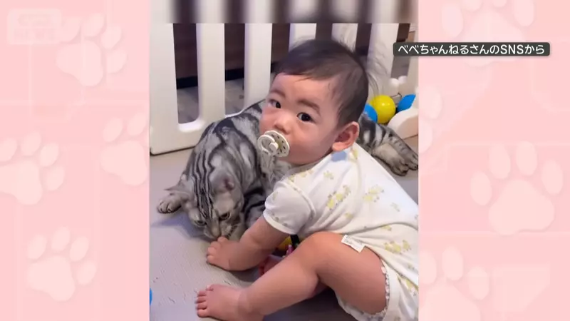 圖片2 圖片2
