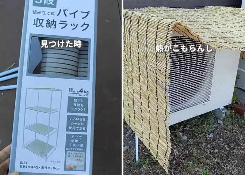 圖片1 圖片1