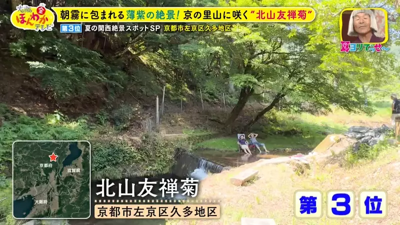 圖片15 圖片15