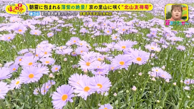 圖片18 圖片18