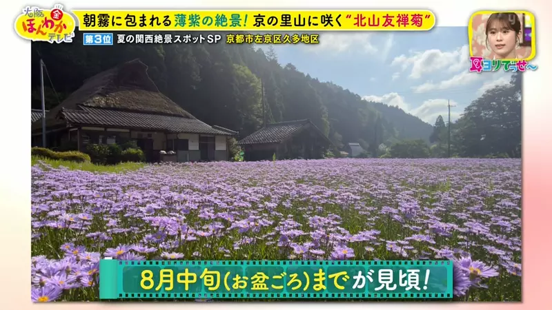 圖片19 圖片19