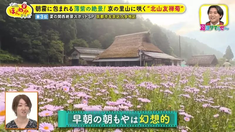 圖片20 圖片20