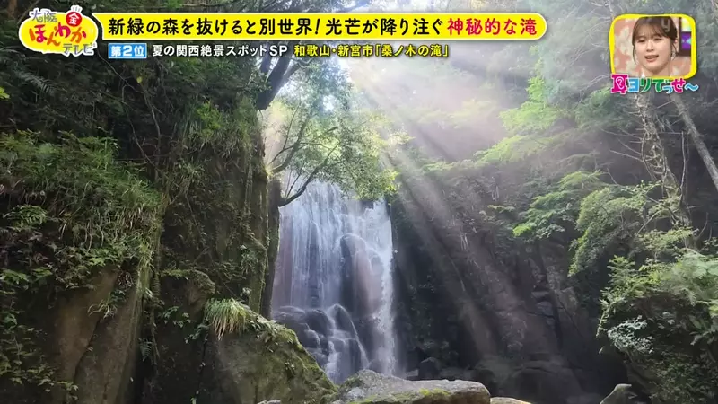 圖片24 圖片24