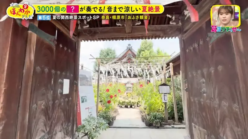 圖片4 圖片4