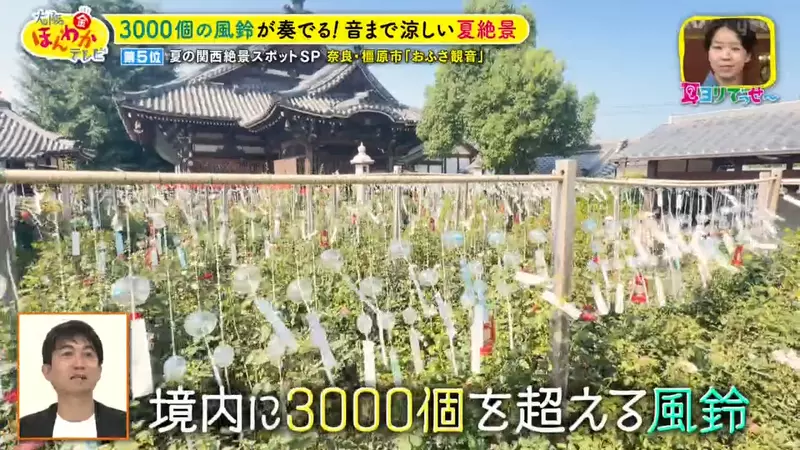 圖片5 圖片5