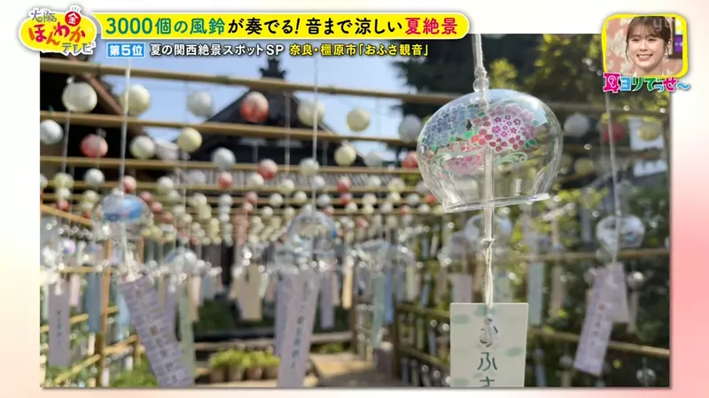 圖片7 圖片7