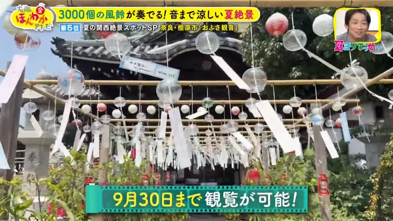 圖片6 圖片6