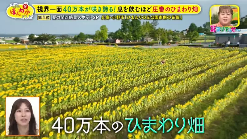 圖片30 圖片30