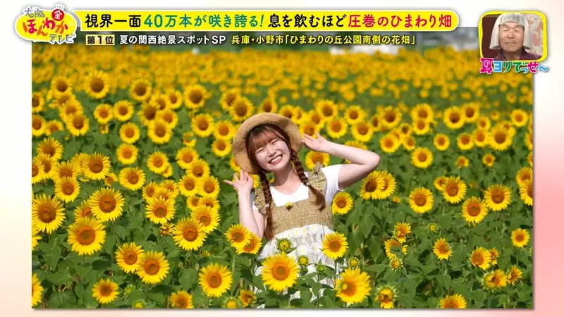 圖片1 圖片1