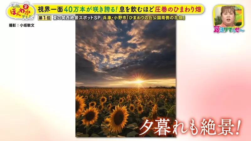 圖片34 圖片34
