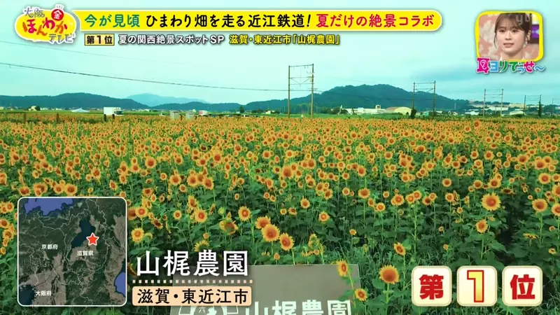 圖片36 圖片36