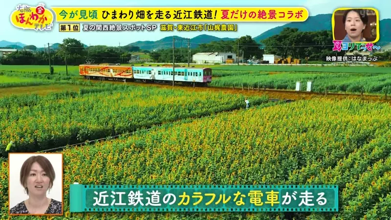 圖片37 圖片37