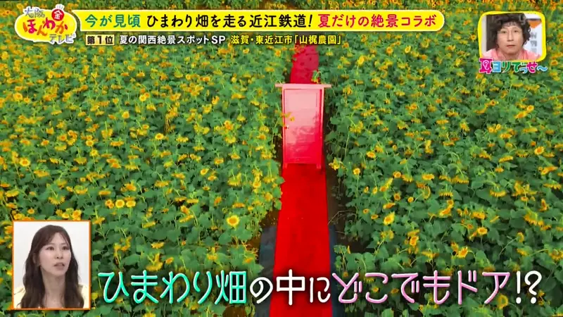 圖片39 圖片39