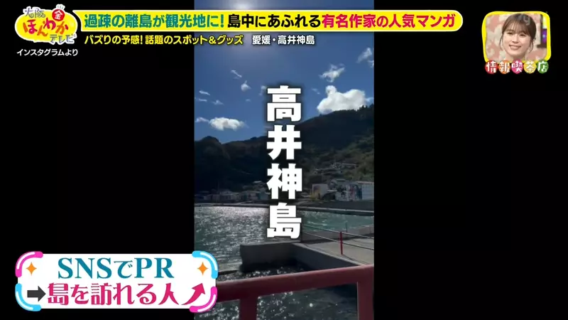 圖片17