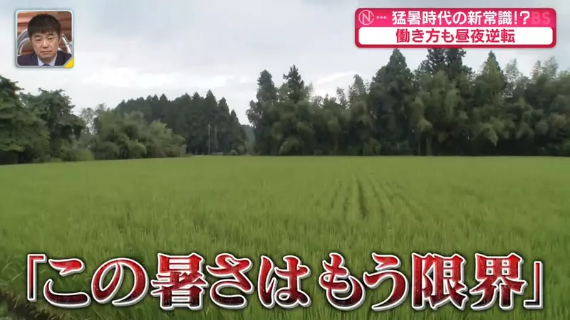 圖片2