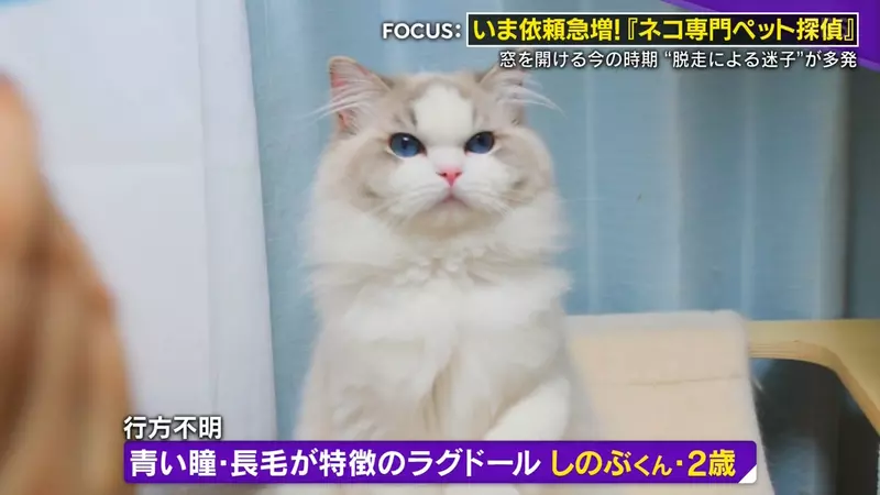 圖片1 圖片1