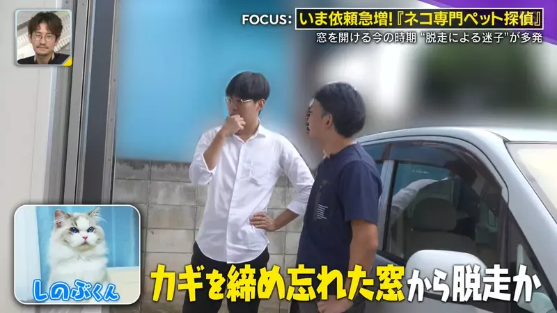 圖片13 圖片13