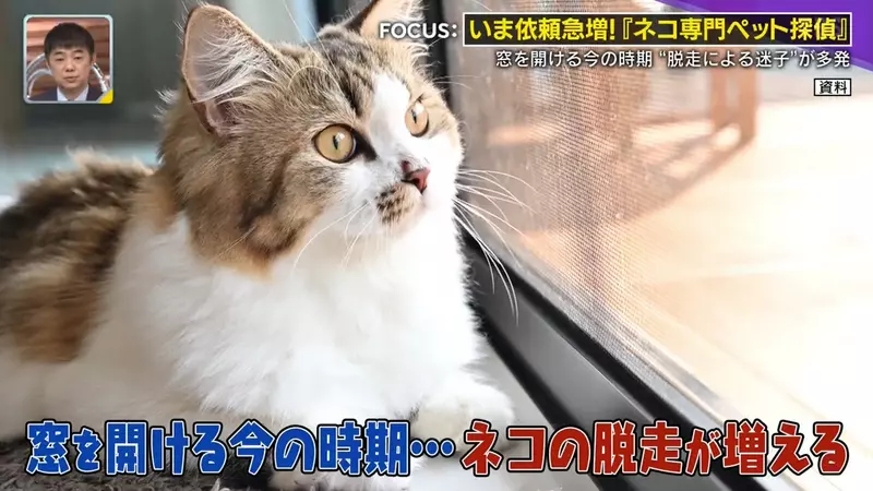 圖片2 圖片2