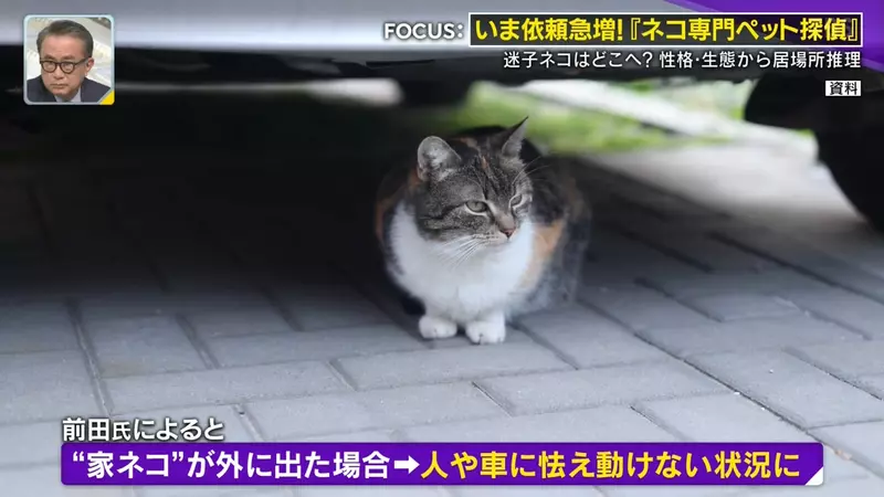 圖片18 圖片18