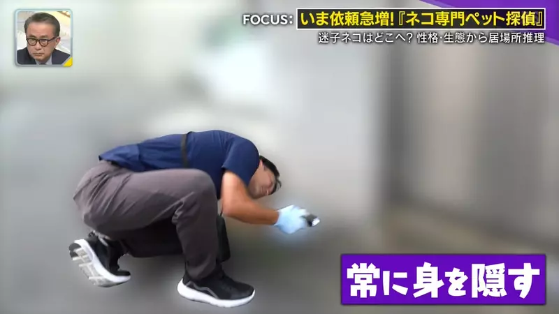 圖片19 圖片19