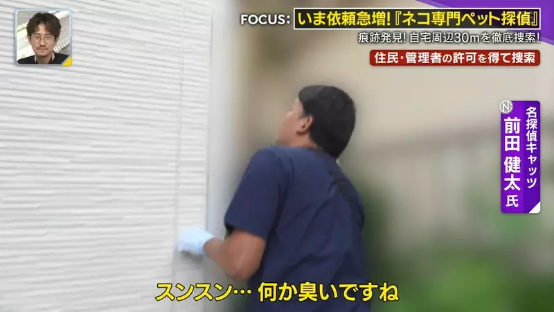 圖片27 圖片27