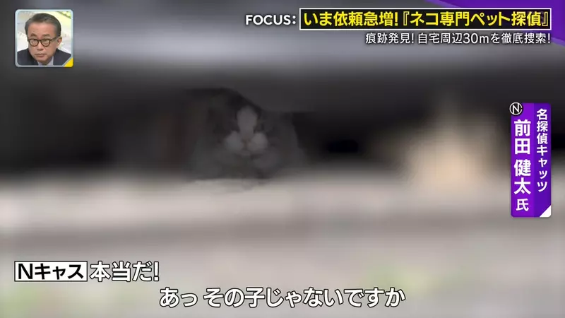 圖片31 圖片31