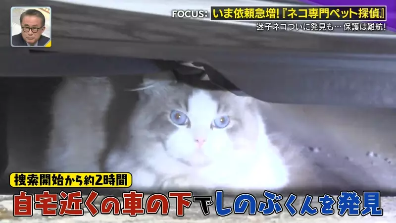 圖片32 圖片32