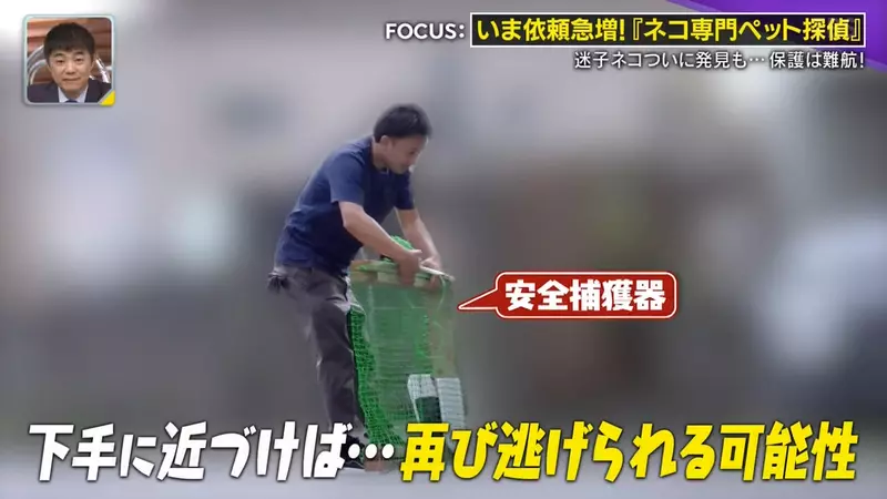 圖片33 圖片33