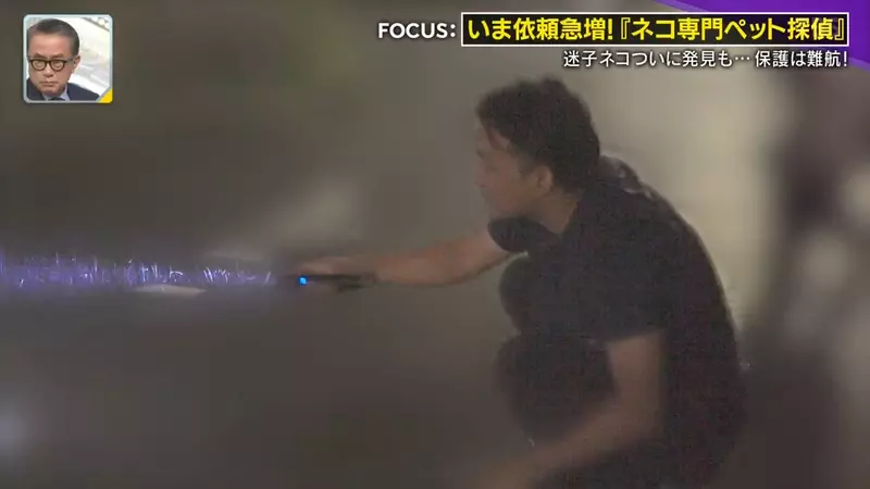 圖片35 圖片35