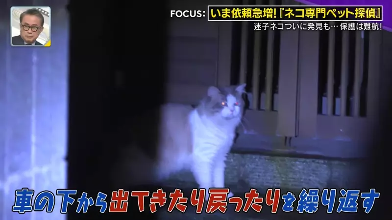 圖片34 圖片34