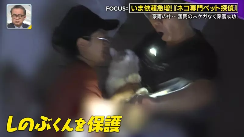 圖片36 圖片36