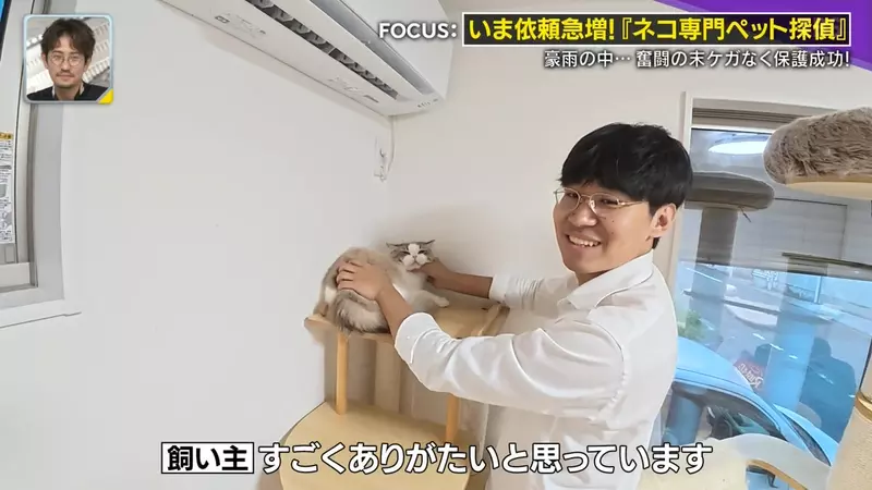 圖片37 圖片37