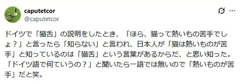 圖片10