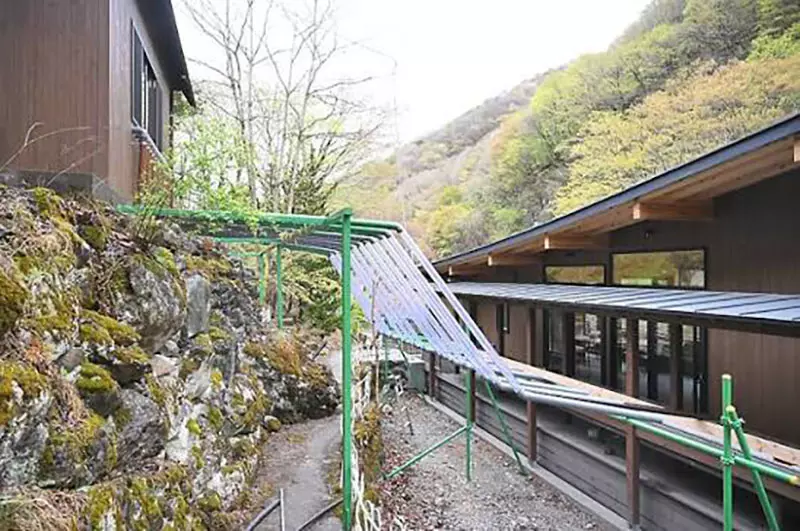圖片5