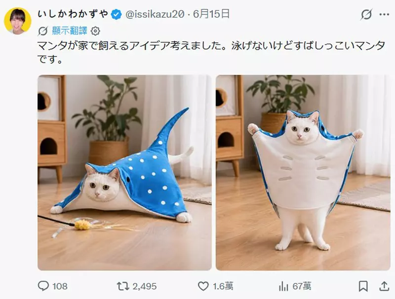 圖片6