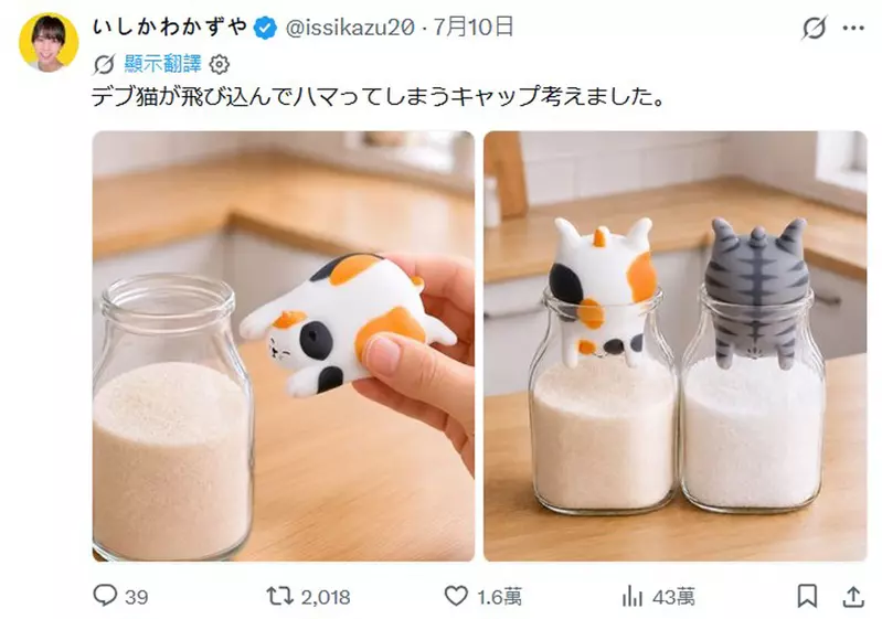 圖片11
