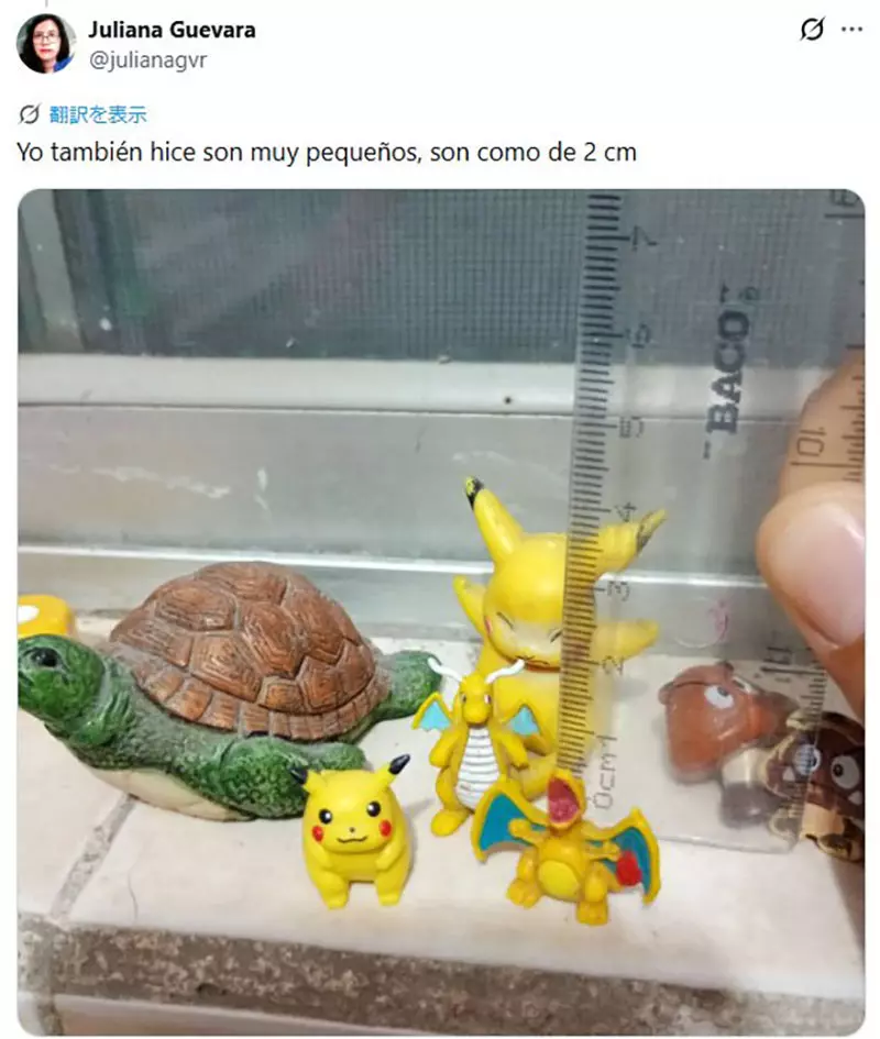 圖片5