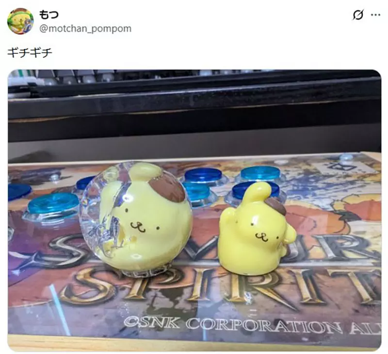圖片7