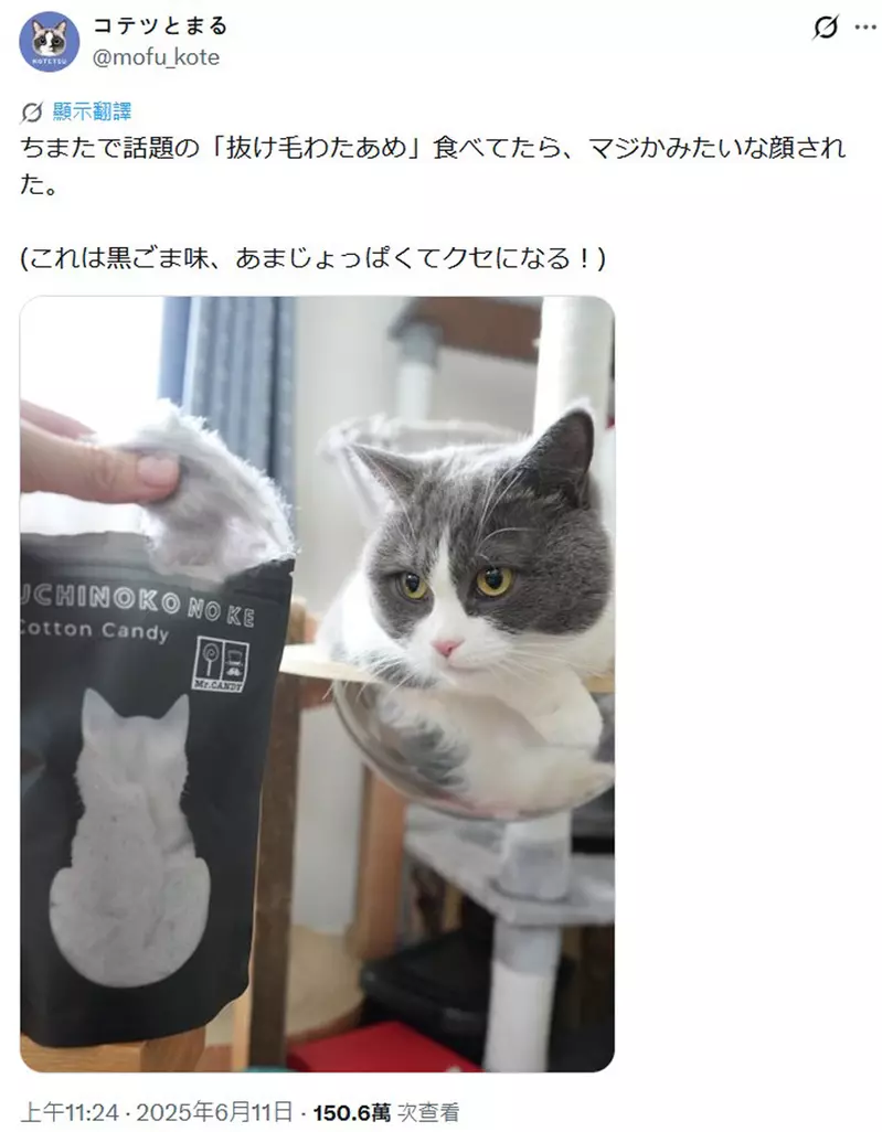 圖片7