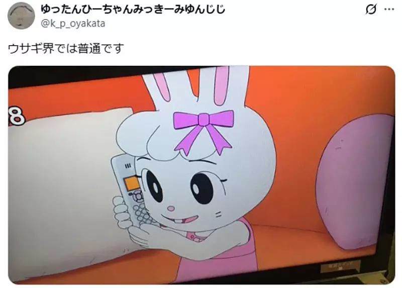 圖片15 圖片15