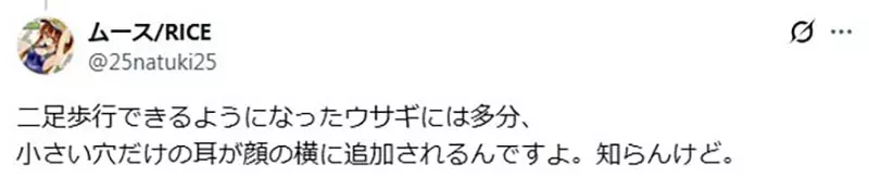 圖片10 圖片10