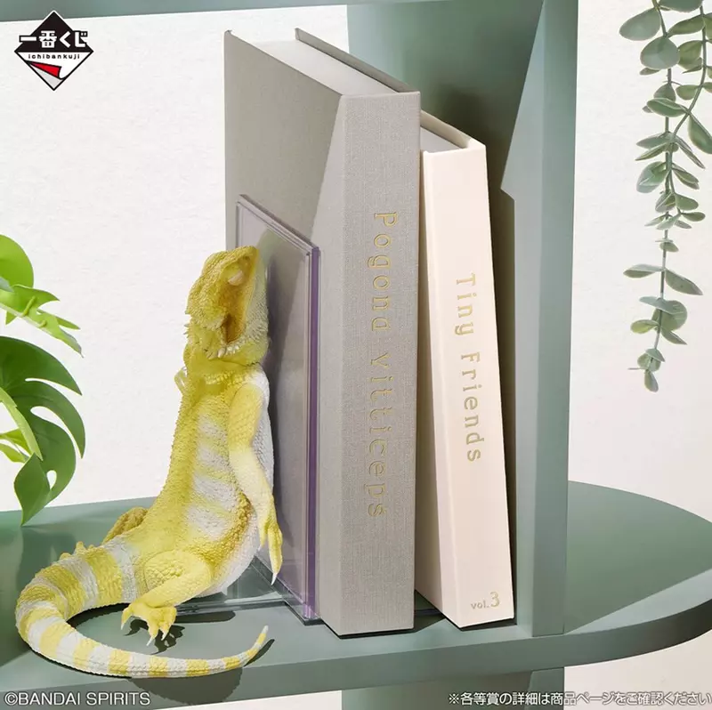 圖片3 圖片3