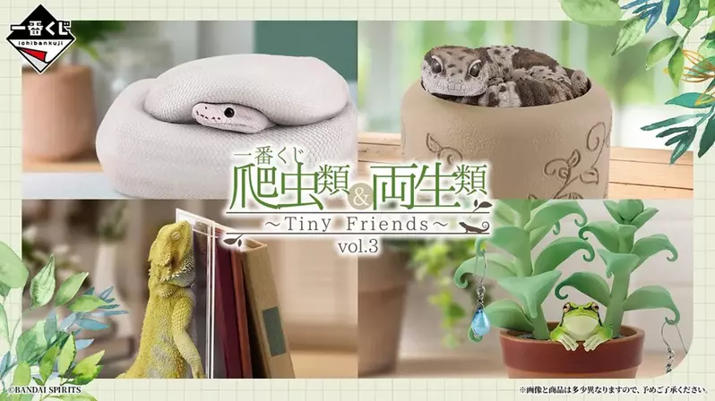 圖片2 圖片2