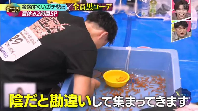圖片12