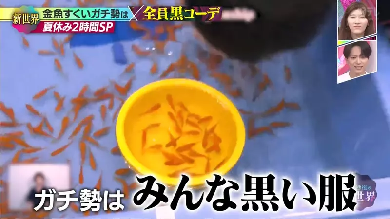 圖片13